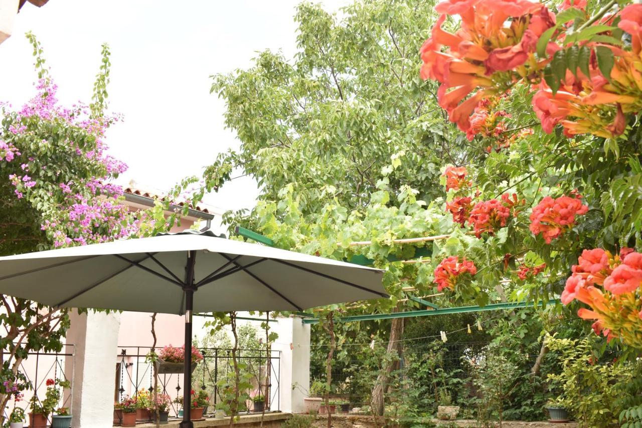 Holiday House Letizia Премантура Экстерьер фото